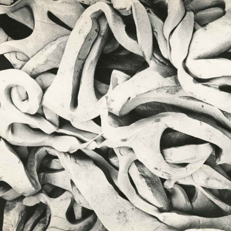 Resource: Fotostiftung Schweiz